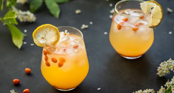 Drinkar Havtorn Drink 3