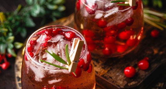 Drinkar Lingon Drink 8