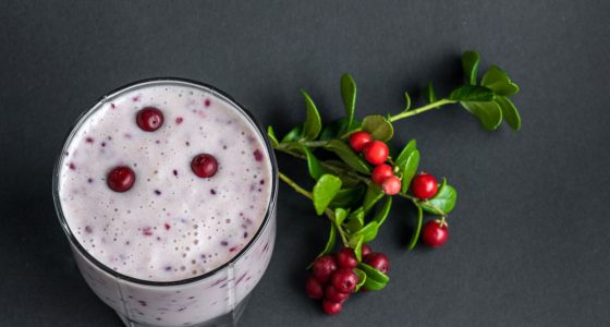 Drinkar Lingon Smoothie