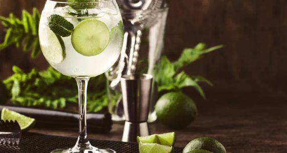 Drinkar Mojito Cuban Bubbles