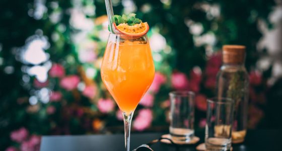 Drinkar Passion Bellini
